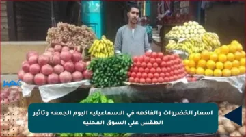 أسعار الخضروات والفاكهة في الإسماعيلية اليوم الجمعة وتأثير الطقس على السوق المحلية